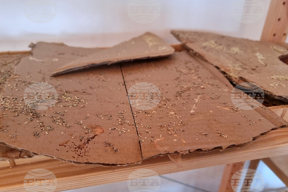 Балчик - Културен център „Двореца“ - шивалня