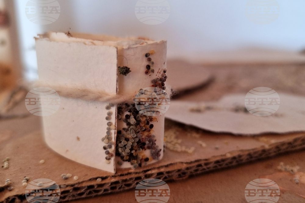 Балчик - Културен център „Двореца“ - шивалня