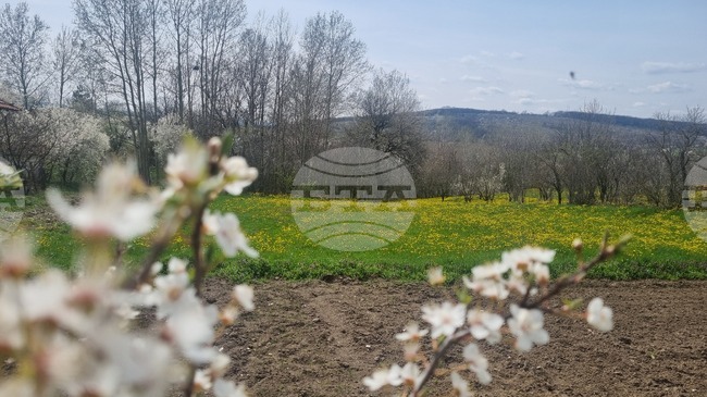 Публичен търг за отдаване под аренда на близо 4000 дка земеделски земи обяви Община Търговище 