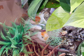 Интер експо център - SOFIA ZOO EXPO