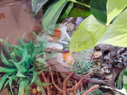 Интер експо център - SOFIA ZOO EXPO