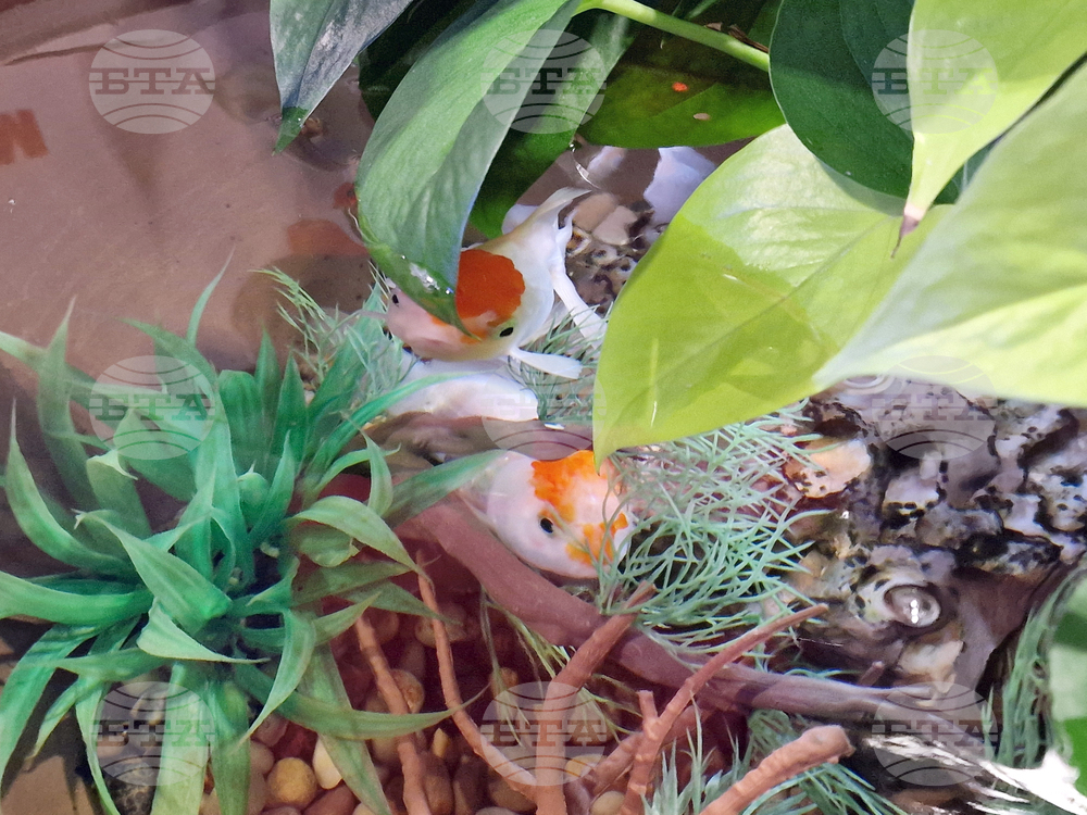 Интер експо център - SOFIA ZOO EXPO