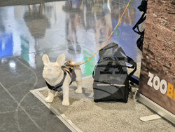 Интер експо център - SOFIA ZOO EXPO