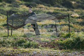 Israel Lebanon Iran War