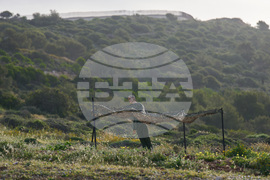 Israel Lebanon Iran War