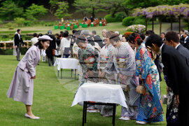 Japan Royals