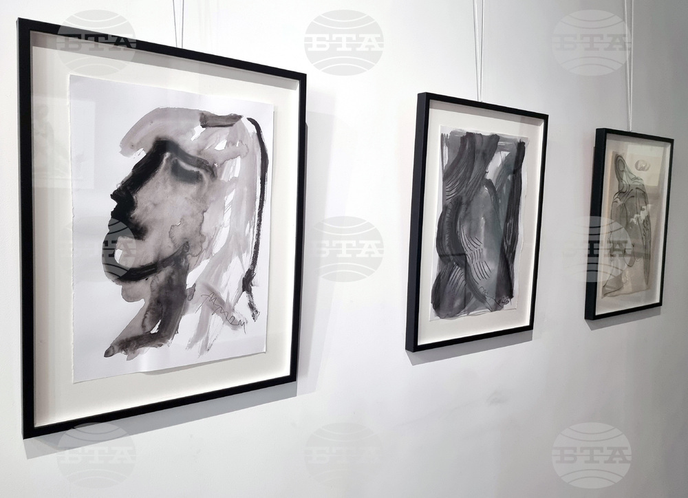 Варна - Градска художествена галерия - Веско Велев - изложба „Върху хартия”