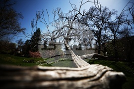 Столица - градина „Кристал“