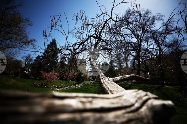 Столица - градина „Кристал“