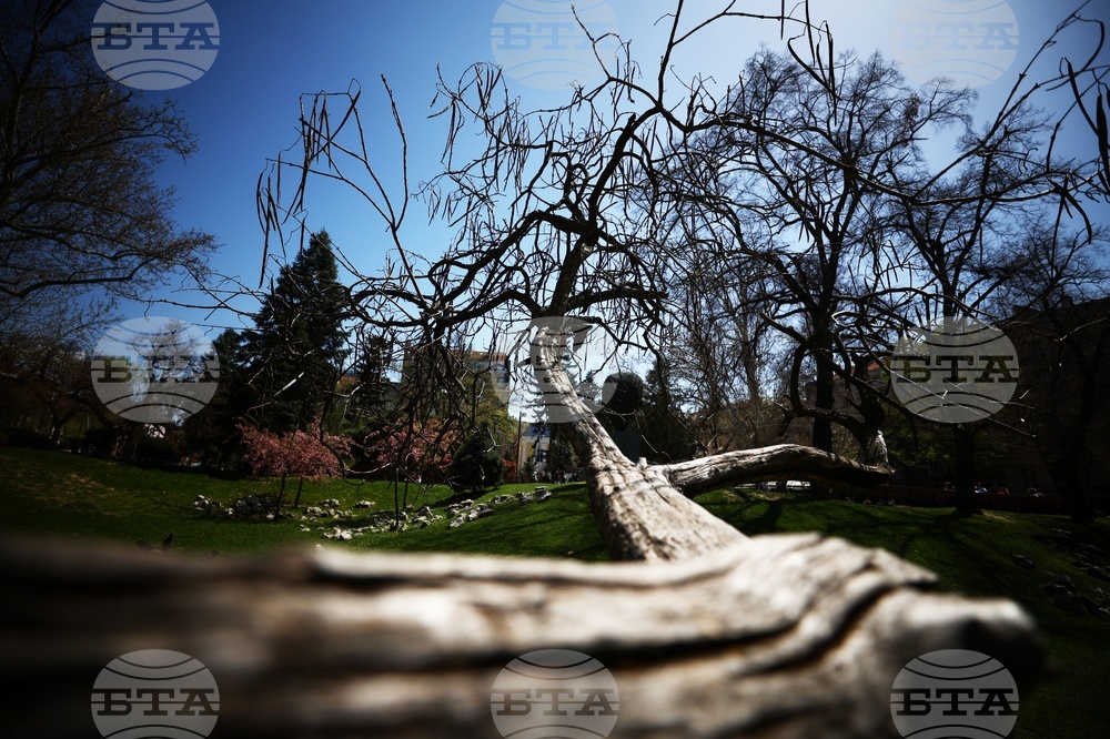 Столица - градина „Кристал“