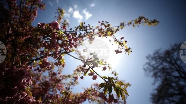 Прогноза за времето