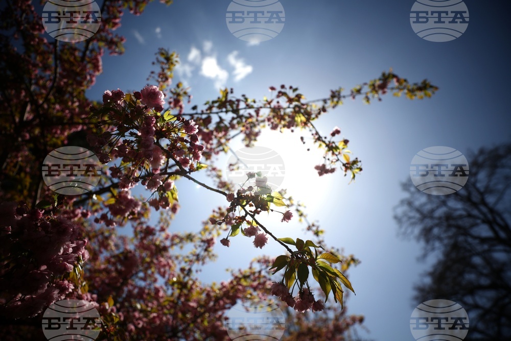 Прогноза за времето