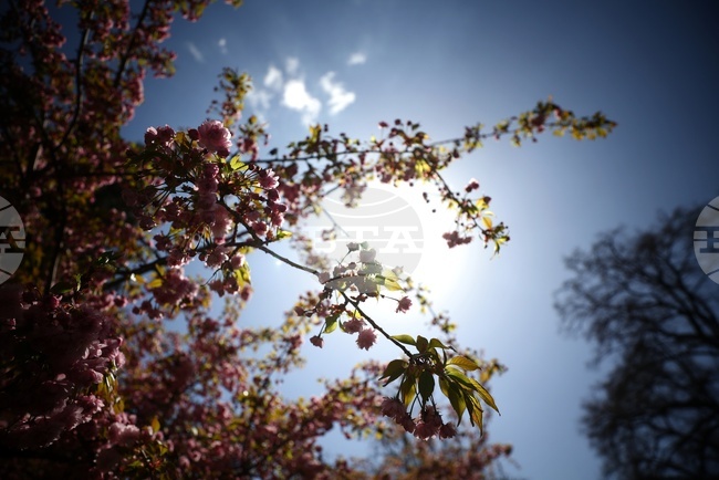 Прогноза за времето