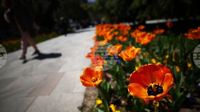 С дефиле с костюми от отпадъчни материали и беседи за природата ще бъде отбелязан Световният ден на Земята днес