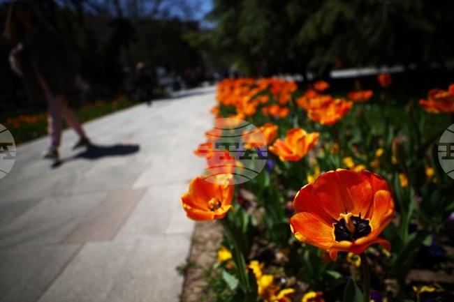 С дефиле с костюми от отпадъчни материали и беседи за природата ще бъде отбелязан Световният ден на Земята днес