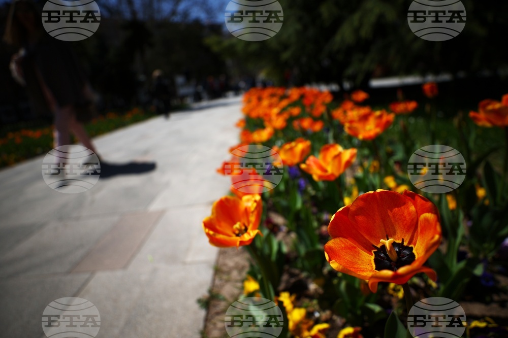 Столица - градина „Кристал“