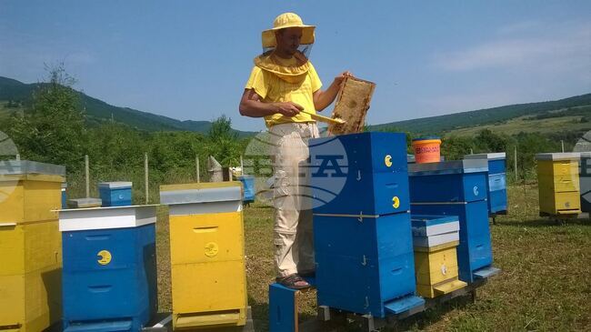 Иновационен проект в Троянско ще изследва ранното развитие на пчелните семейства чрез изкуствено затопляне