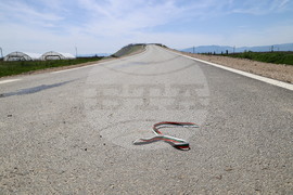 Село Маноле - пътен надлез - официална церемония