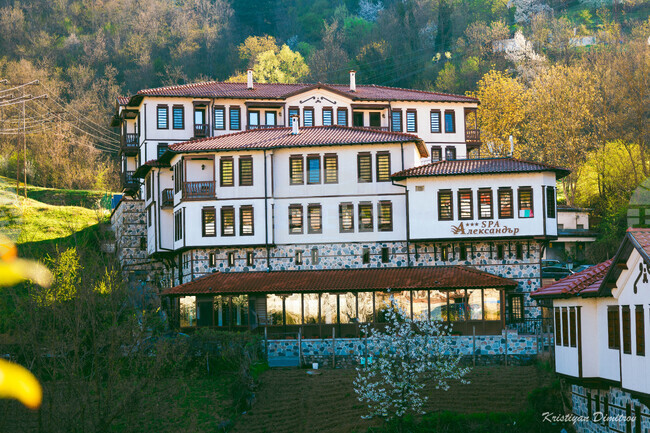 SPA Complex Alexander Expands Services with Signature Therapy and Summer Packages in Greece