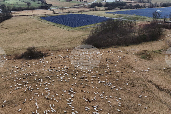 Climate Solar Energy Farmland