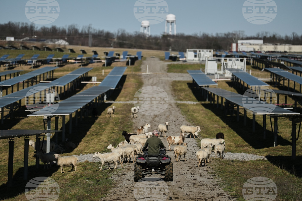 Climate Solar Energy Farmland