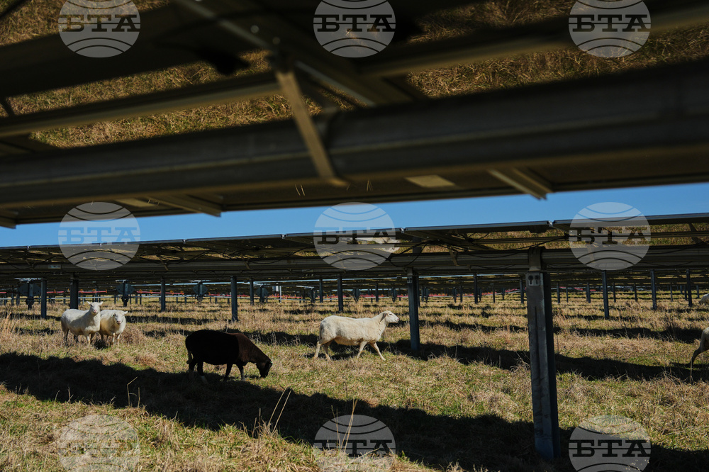 Climate Solar Energy Farmland