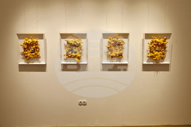 Пловдив - Константин Константинов - изложби