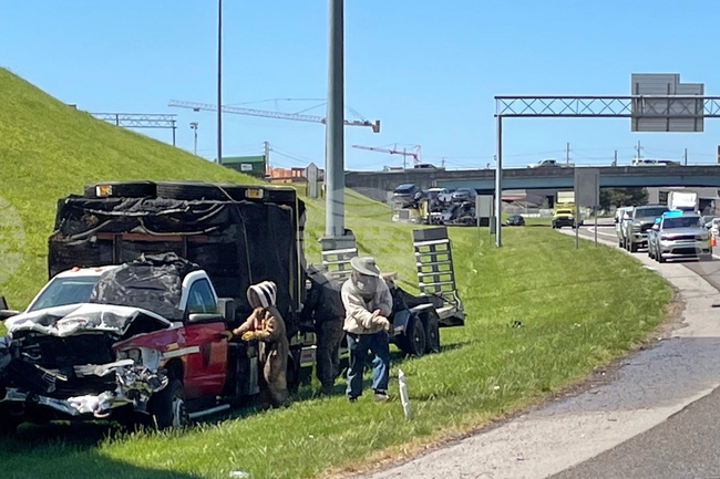 Highway Crash-Bee Swarm