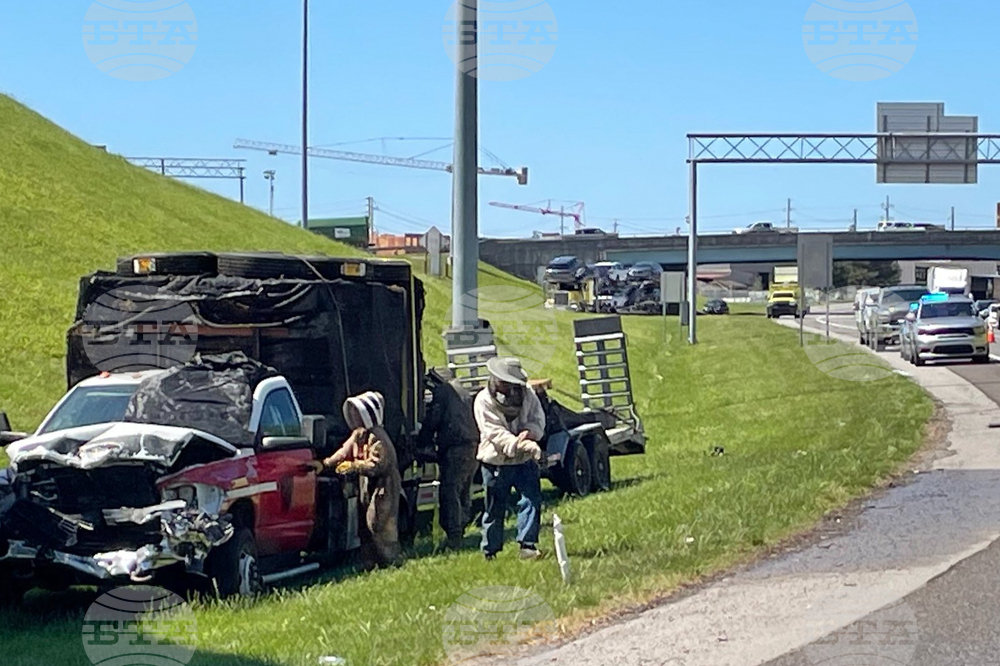 Highway Crash-Bee Swarm