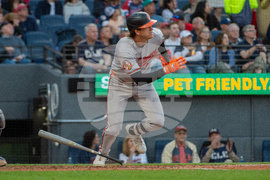 Orioles Guardians Baseball