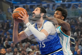 Hornets Magic Basketball