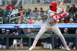 Reds Twins Baseball