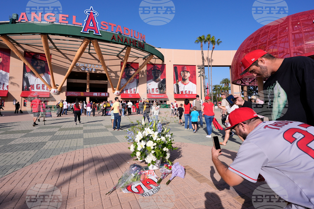 Padres Angels Baseball