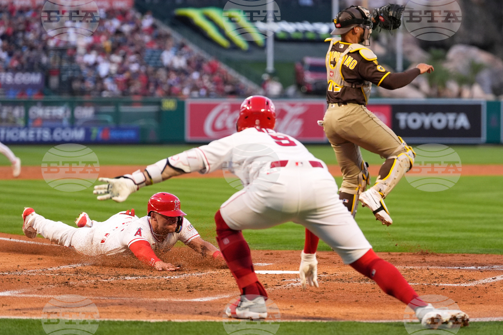 Padres Angels Baseball