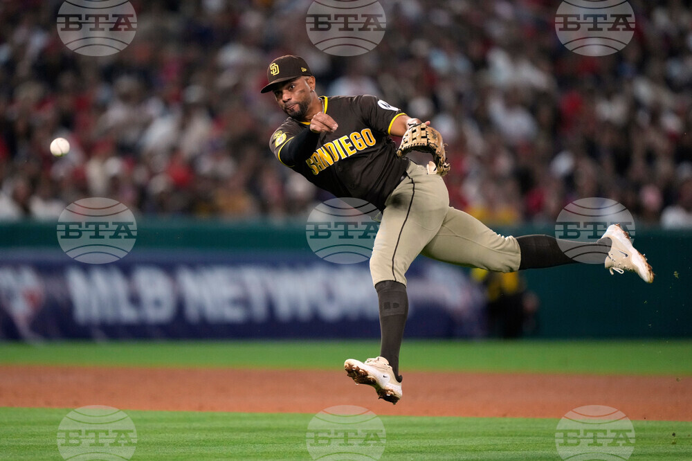 Padres Angels Baseball