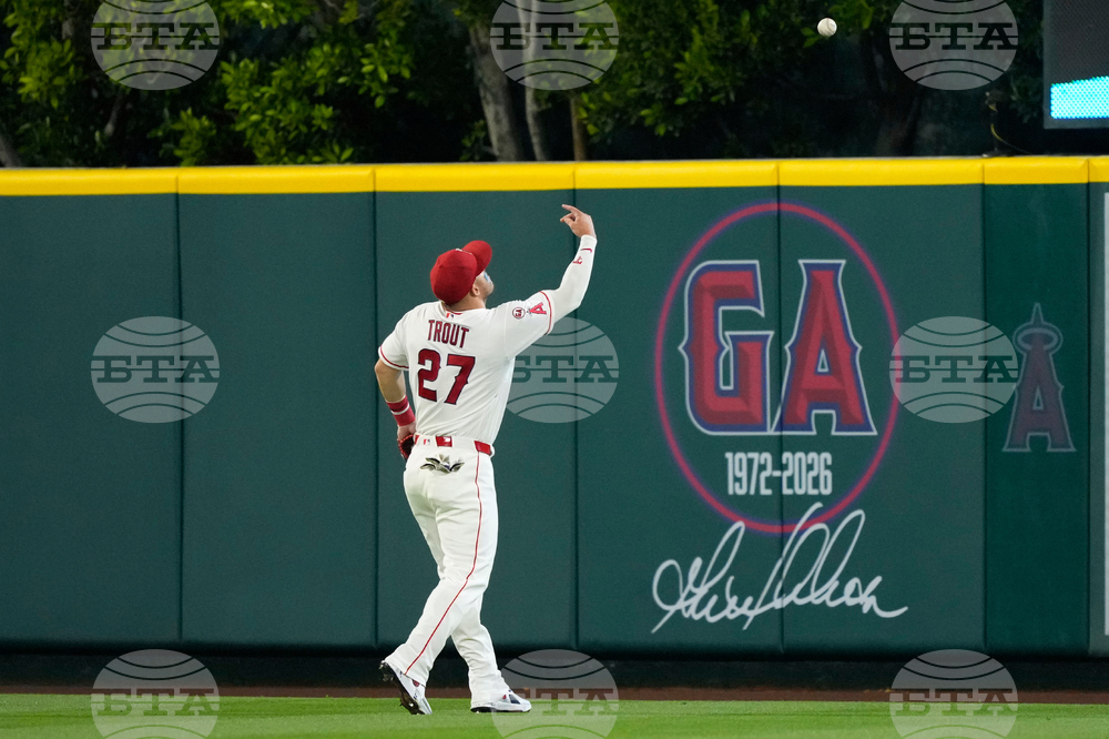 Padres Angels Baseball
