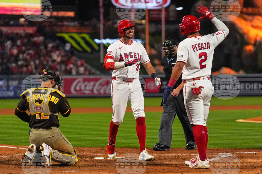 Padres Angels Baseball