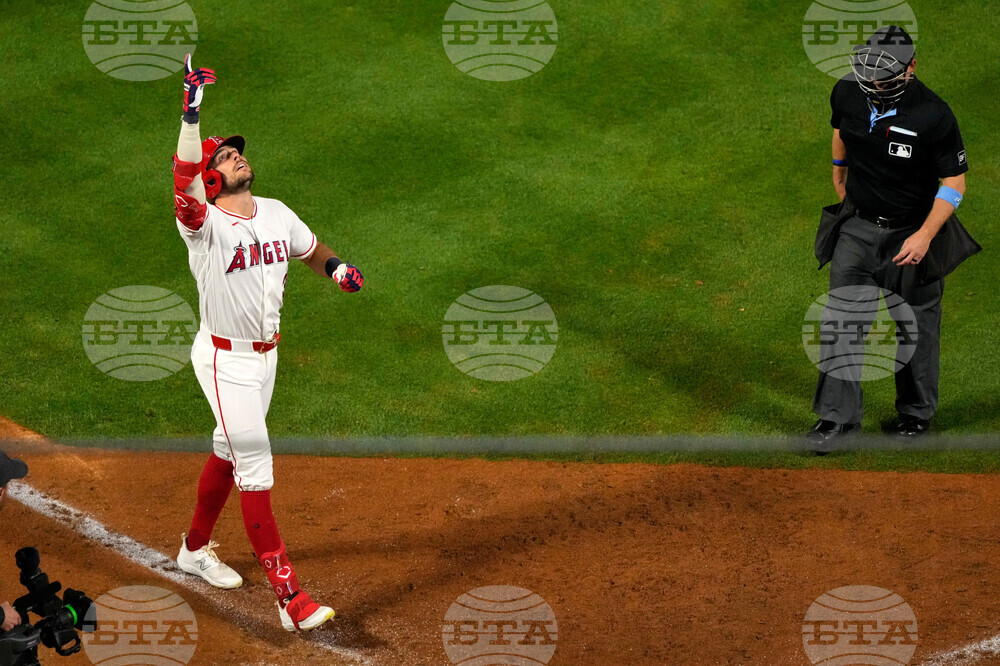 Padres Angels Baseball