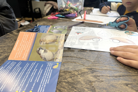 „Топлоцентрала“ - „Час по врабчетата“ - инициатива