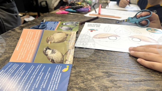 Над 3500 врабчета бяха преброени от доброволци в страната 