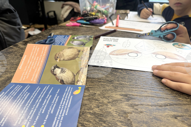 Над 3500 врабчета бяха преброени от доброволци в страната 