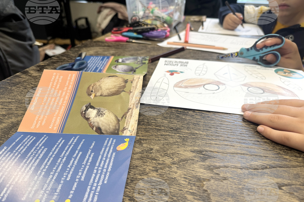 „Топлоцентрала“ - „Час по врабчетата“ - инициатива