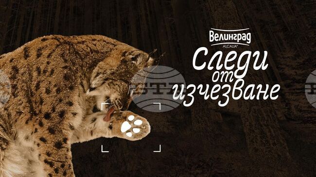 Зоопаркът в Стара Загора ще бъде домакин на пътуващата изложба „Следи от изчезване“