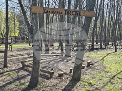 Добрич - Зооцентър - бебе лама