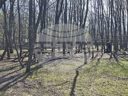 Добрич - Зооцентър - бебе лама