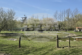 Добрич - Зооцентър - бебе лама