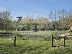 Добрич - Зооцентър - бебе лама