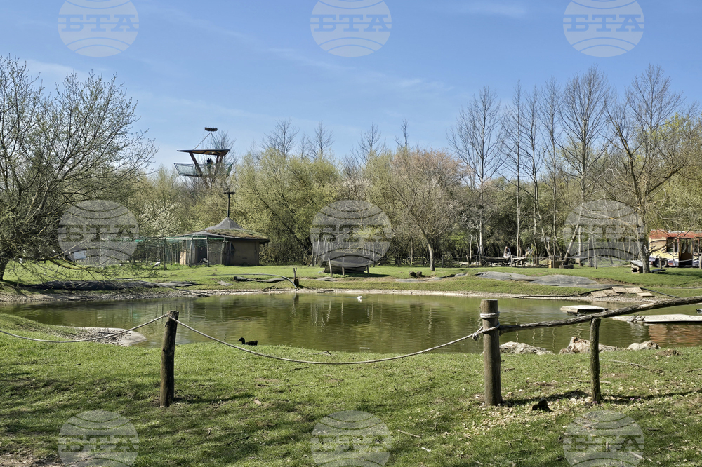 Добрич - Зооцентър - бебе лама