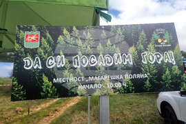 Стара Загора - залесяване