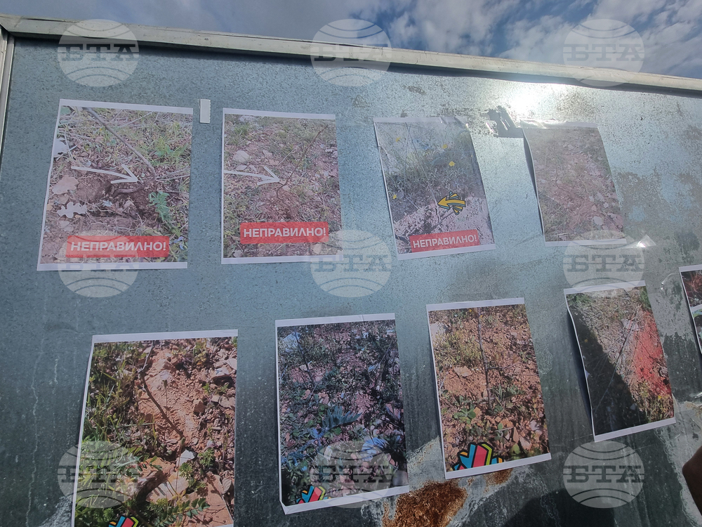 Стара Загора - залесяване